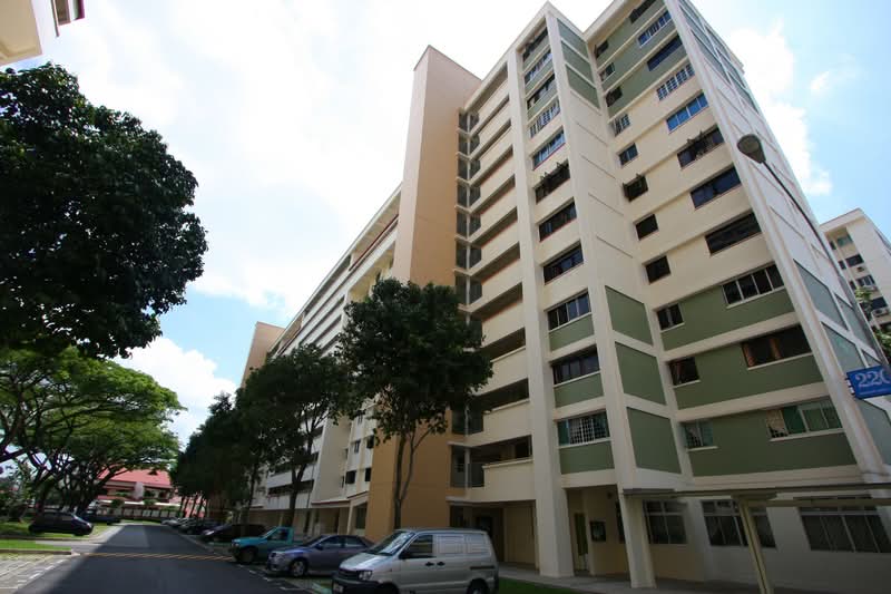 220 Serangoon Avenue 4