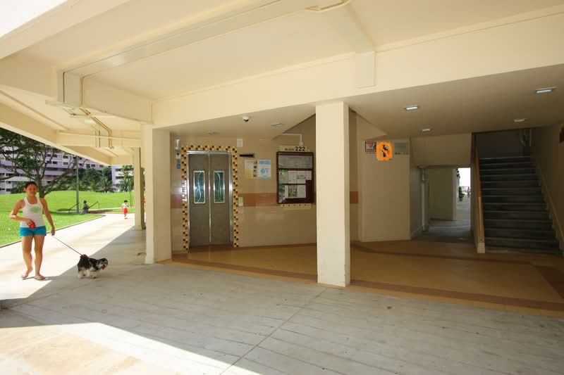 222 Serangoon Avenue 4