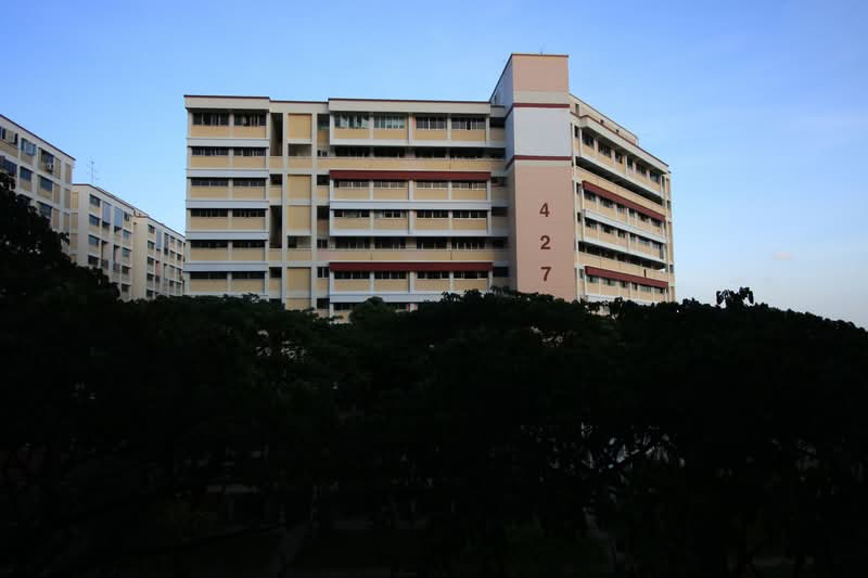 427 Serangoon Central, 427 Serangoon Central, 3 Bedrooms, 1,130 sqft, HDB Flat For Rent, by Celine Tan, 500088778 - PropertyGuru.com.sg