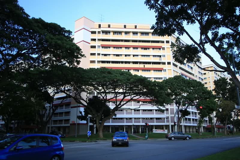 427 Serangoon Central, 427 Serangoon Central, 3 Bedrooms, 1,130 sqft, HDB Flat For Rent, by Celine Tan, 500088778 - PropertyGuru.com.sg