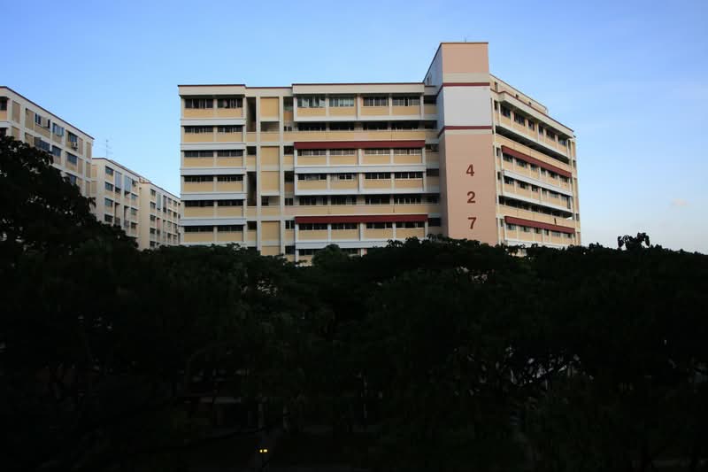 427 Serangoon Central, 427 Serangoon Central, 3 Bedrooms, 1,130 sqft, HDB Flat For Rent, by Celine Tan, 500088778 - PropertyGuru.com.sg