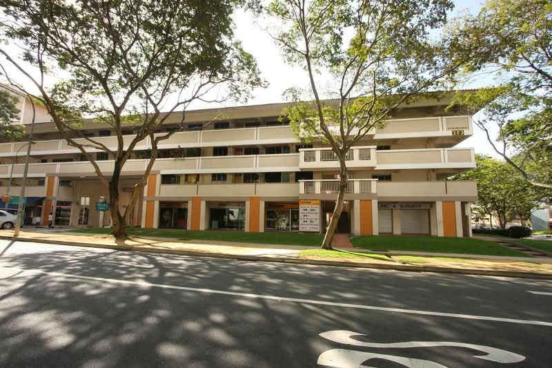 253 Serangoon Central Drive