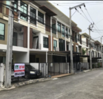 Six Nature Vibha 60 : ซิกเนเจอร์ วิภา 60 #0