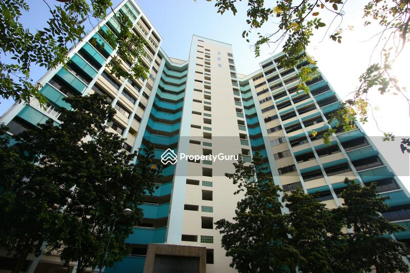 For Sale - 255 Serangoon Central Drive