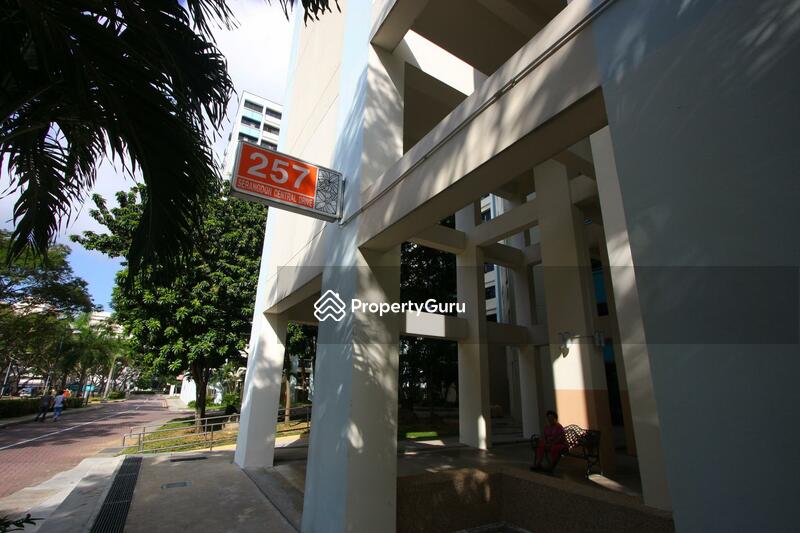 257 Serangoon Central Drive #0