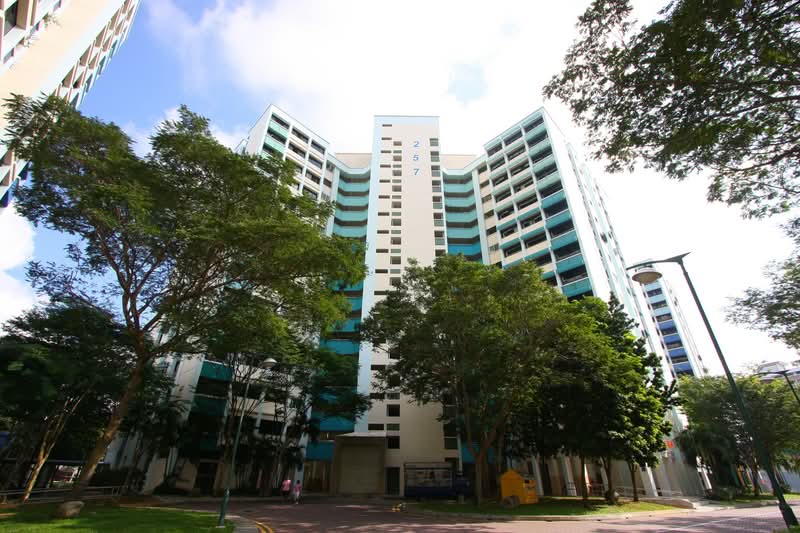 257 Serangoon Central Drive