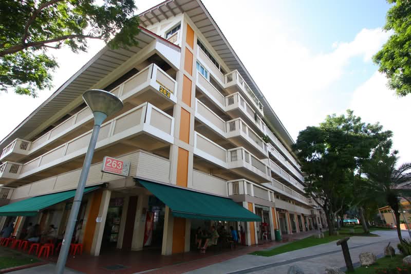 263 Serangoon Central Drive