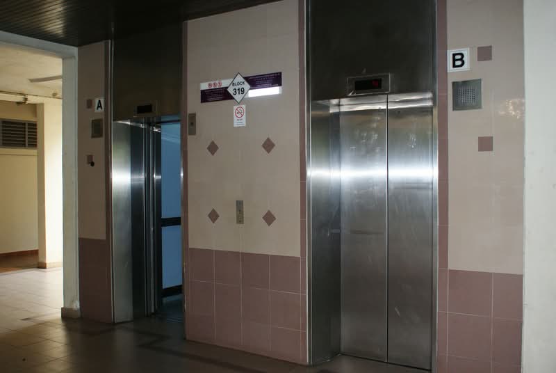 319 Shunfu Road #0