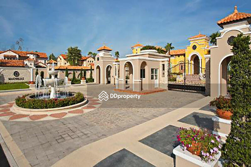 Magnolias Southern California : แมกโนเลียส์ เซาท์เทิร์น แคลิฟอร์เนีย #0