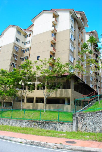 Untuk Dijual - Paradesa Tropica