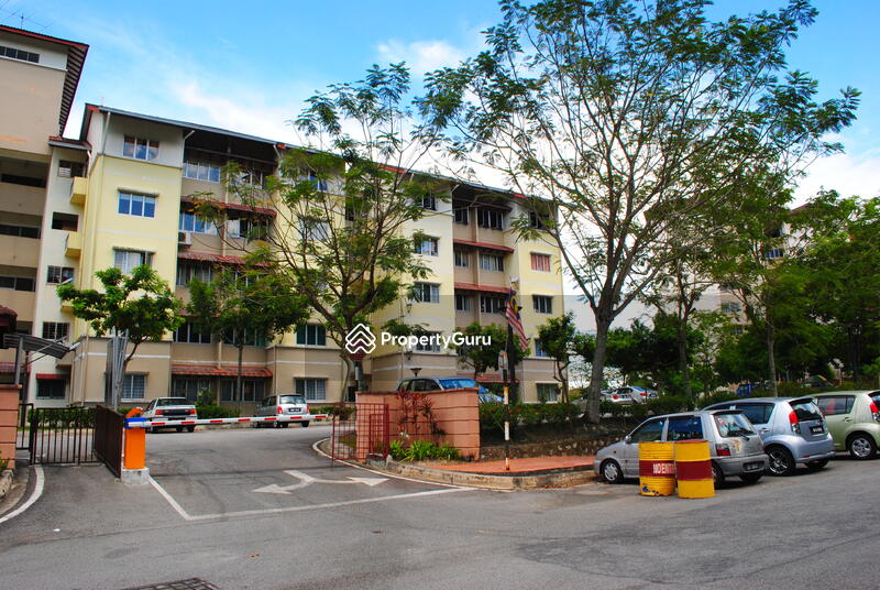 Untuk Dijual - Paradesa Tropica