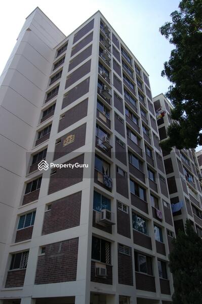 For Sale - 223 Simei Street 4