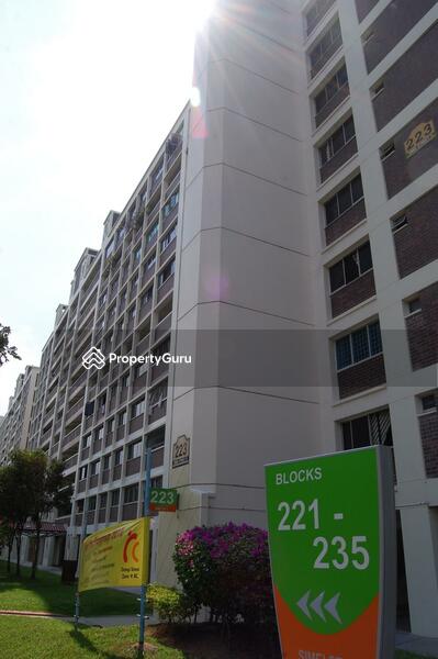 For Sale - 223 Simei Street 4
