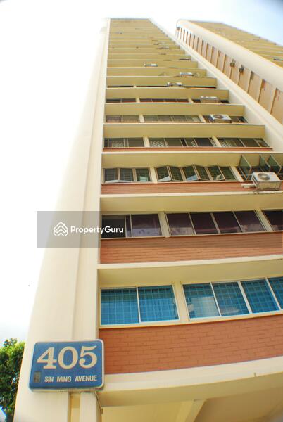 For Rent - 405 Sin Ming Avenue