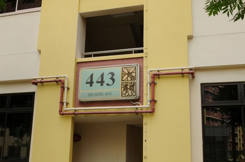 443 Sin Ming Avenue, 443 Sin Ming Avenue, Ang Mo Kio / Bishan / Thomson, 3 Bedrooms, 1,184 sqft, HDB Flat For Sale, by Keon Ang, 500245680 - PropertyGuru.com.sg