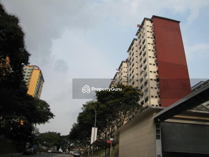 For Rent - 166 Stirling Road