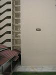 167 Stirling Road #0