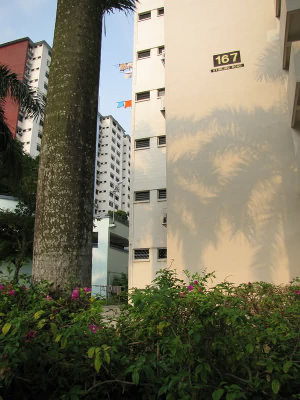 167 Stirling Road