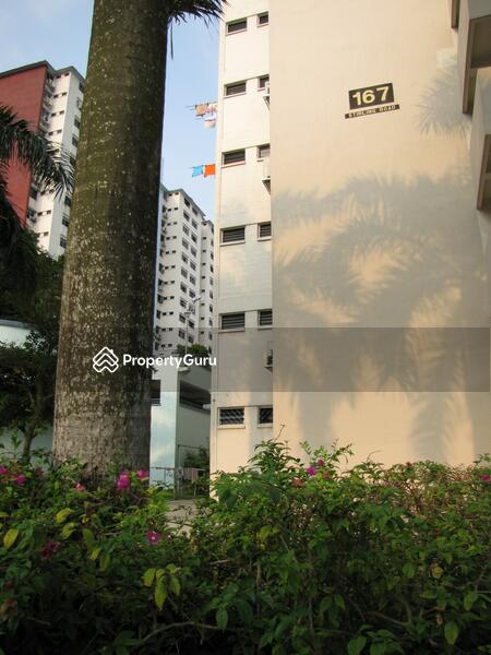 For Rent - 167 Stirling Road