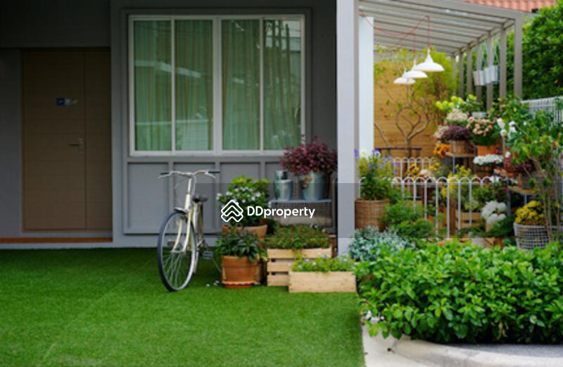 For Rent - Areeya Daily Kaset-Nawamintr, Bangkok