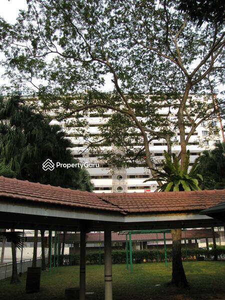 For Rent - 170 Stirling Road