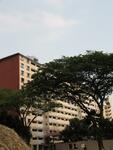 171 Stirling Road #0