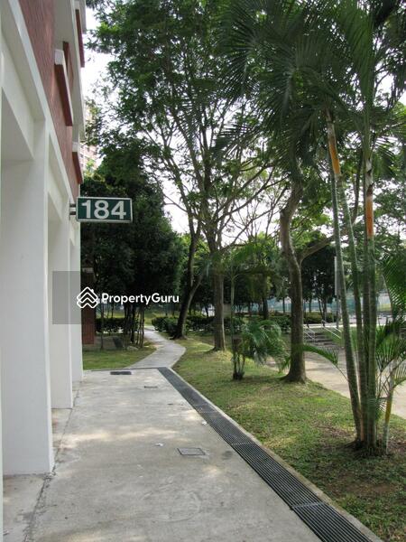 For Rent - 184 Stirling Road