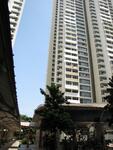 50 Strathmore Avenue #0