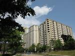 55 Strathmore Avenue #0