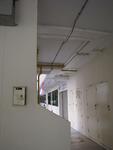 55 Strathmore Avenue #0