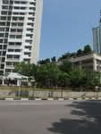53A Strathmore Avenue #0