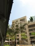 53A Strathmore Avenue #0
