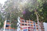 811 Tampines Avenue 4 #0