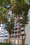 815 Tampines Avenue 4 #0