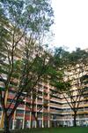 859A Tampines Avenue 5 #0