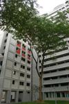 891 Tampines Avenue 8 #0