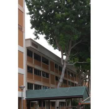 502 Tampines Central 1