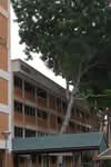 502 Tampines Central 1 #0