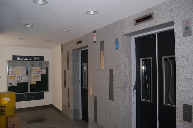 518A Tampines Central 7