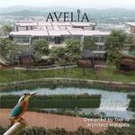 Avelia #0