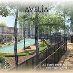 Avelia #0