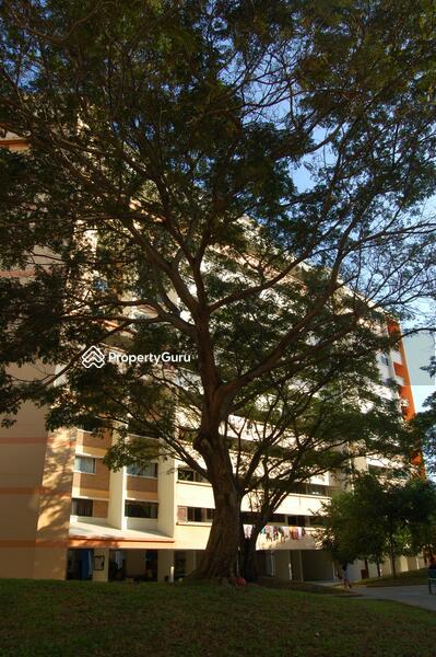 For Rent - 109 Tampines Street 11