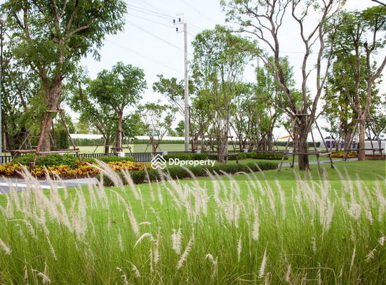 ให้เช่า - Laddarom Bangna : ลัดดารมย์ บางนา, สมุทรปราการ