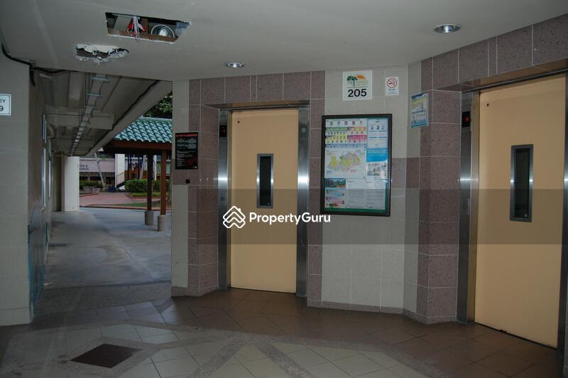 For Rent - 205 Tampines Street 21