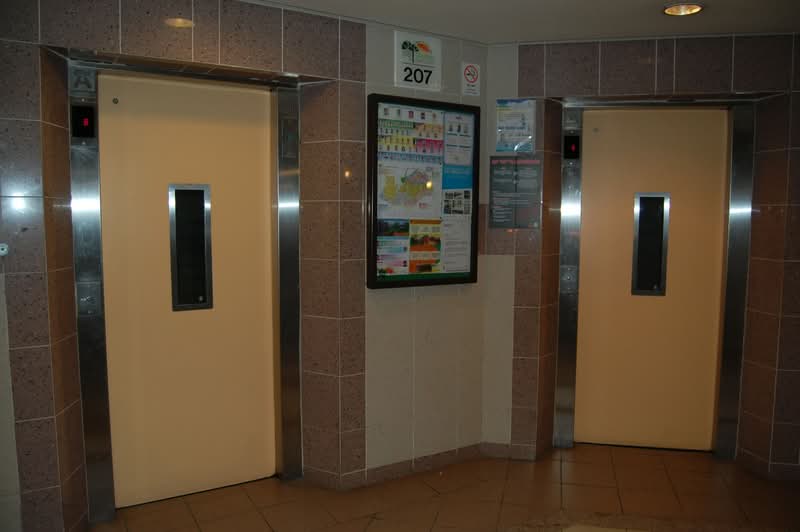 207 Tampines Street 21