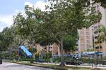 232 Tampines Street 21 #0