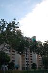 232 Tampines Street 21 #0