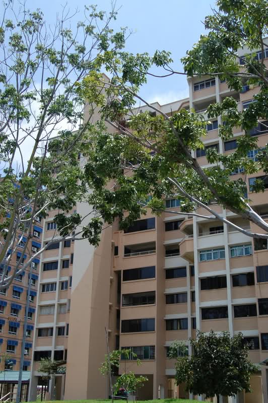 232 Tampines Street 21
