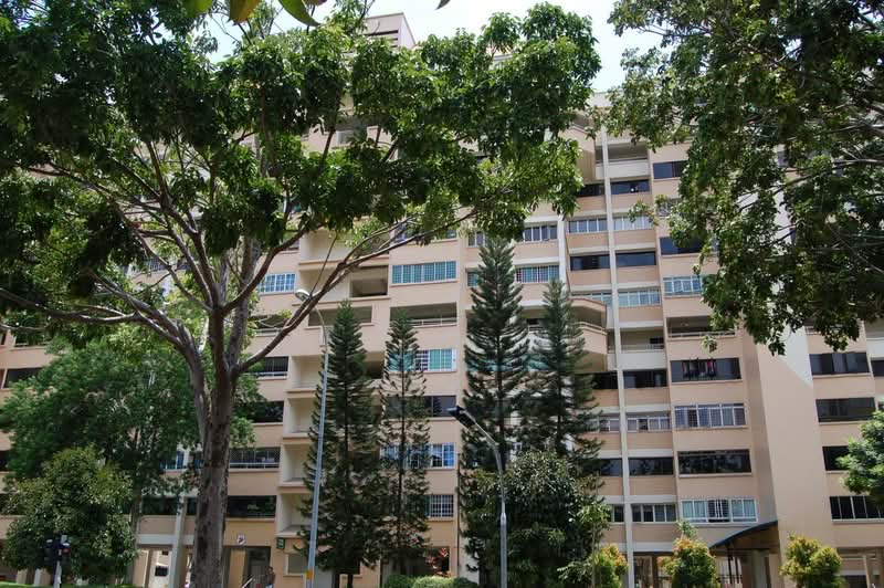 232 Tampines Street 21