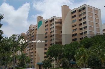 233 Tampines Street 21